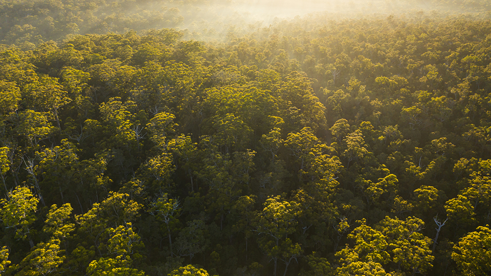 environmental awareness environmental awareness